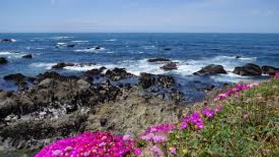 Mendocino Coast Botanical Gardens Earns National Recognition Among America’s Best
