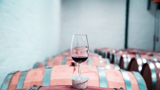 California Wine Culture: What Newcomers Should Know Before Moving to the Golden State