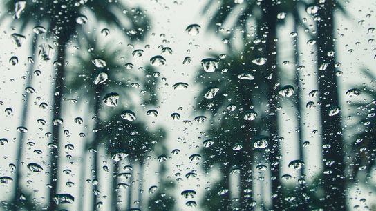 Live the California Dream in Huntington Beach